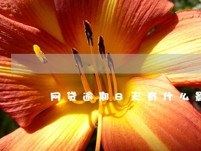 网贷逾期8天有什么影响 网贷逾期8天有什么影响