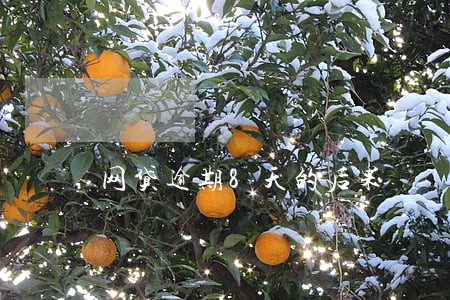 网贷逾期8天的后果 网贷逾期8天的后果