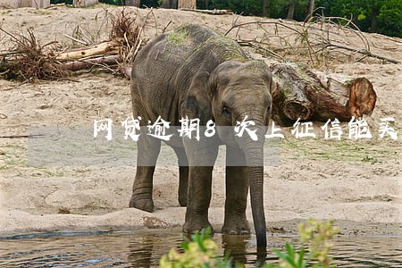 网贷逾期8次上征信能买房吗 网贷逾期8次上征信能买房吗