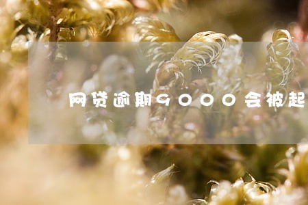 网贷逾期9000会被起诉吗 网贷逾期9000会被起诉吗