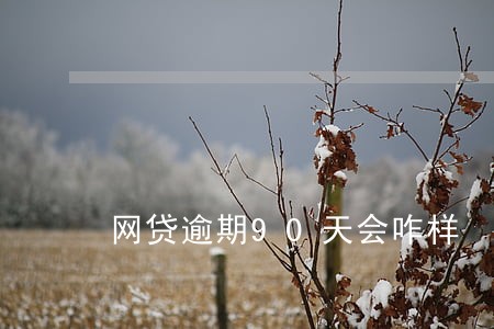 网贷逾期90天会咋样 网贷逾期90天会咋样