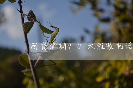 网贷逾期90天催收电话不接 网贷逾期90天催收电话不接