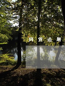 网贷逾期90天后主动还款 网贷逾期90天后主动还款