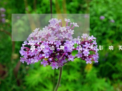 网贷逾期90天影响买楼吗 网贷逾期90天影响买楼吗