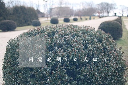 网贷逾期90天征信 网贷逾期90天征信