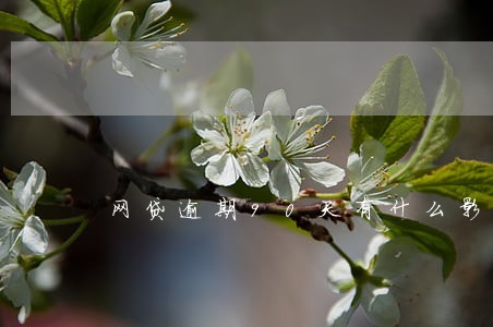 网贷逾期90天有什么影响吗 网贷逾期90天有什么影响吗