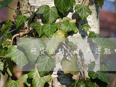 网贷逾期90天还能申请房贷 网贷逾期90天还能申请房贷