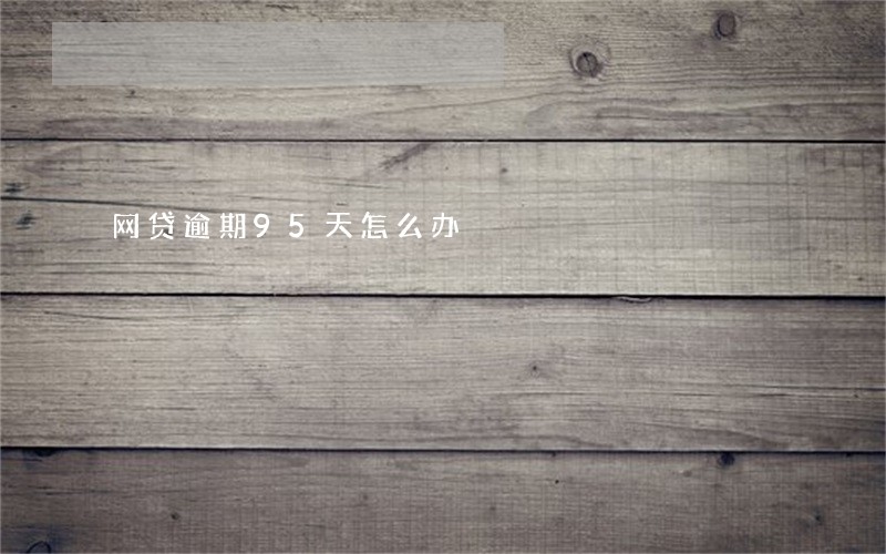 网贷逾期95天怎么办 网贷逾期95天怎么办