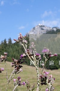 网贷逾期95天怎么处理 网贷逾期95天怎么处理