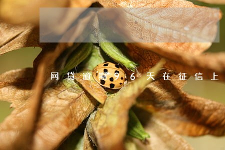 网贷逾期96天在征信上 网贷逾期96天在征信上