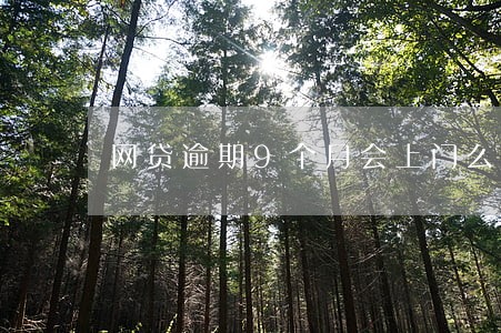 网贷逾期9个月会上门么 网贷逾期9个月会上门么