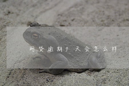 网贷逾期9天会怎么样 网贷逾期9天会怎么样