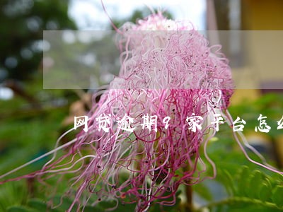 网贷逾期9家平台怎么办 网贷逾期9家平台怎么办