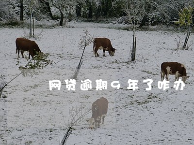 网贷逾期9年了咋办 网贷逾期9年了咋办