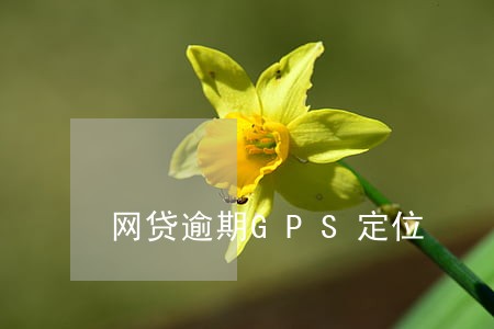 网贷逾期GPS定位