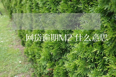 网贷逾期M2什么意思 网贷逾期M2什么意思