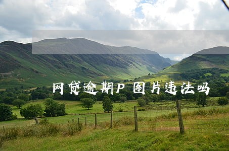 网贷逾期P图片违法吗 网贷逾期P图片违法吗