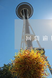 网贷逾期pingtai 网贷逾期pingtai