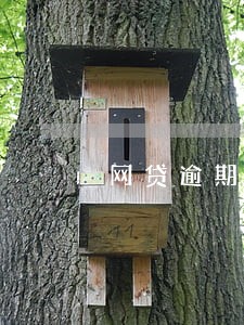 网贷逾期p图不用还 网贷逾期p图不用还