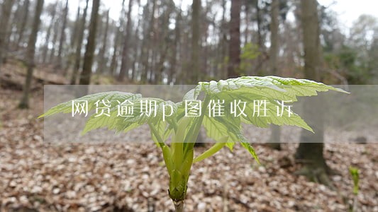 网贷逾期p图催收胜诉 网贷逾期p图催收胜诉