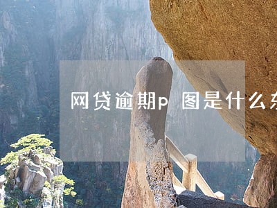 网贷逾期p图是什么东西 网贷逾期p图是什么东西