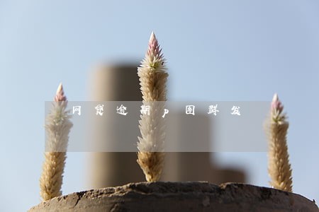网贷逾期p图群发 网贷逾期p图群发