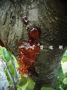 网贷逾期qq邮箱告知函可信吗 网贷逾期qq邮箱告知函可信吗