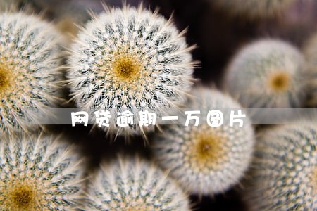 网贷逾期一万图片 网贷逾期一万图片