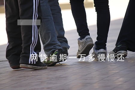 网贷逾期一万多慢慢还 网贷逾期一万多慢慢还