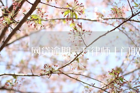 网贷逾期一万律师上门取证 网贷逾期一万律师上门取证