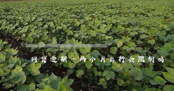 网贷逾期一两个月出行会限制吗