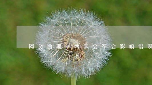 网贷逾期一两天会不会影响借呗 网贷逾期一两天会不会影响借呗