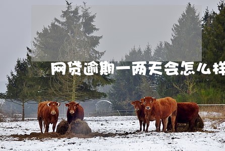 网贷逾期一两天会怎么样 网贷逾期一两天会怎么样