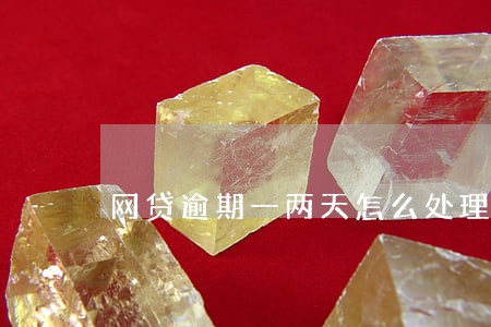 网贷逾期一两天怎么处理 网贷逾期一两天怎么处理