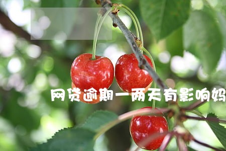 网贷逾期一两天有影响妈妈 网贷逾期一两天有影响妈妈