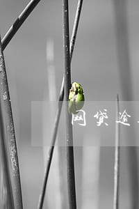 网贷逾期一两次影响公务员 网贷逾期一两次影响公务员