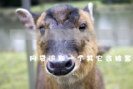 网贷逾期一个其它会被套路吗 网贷逾期一个其它会被套路吗