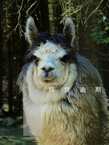 网贷逾期一个和几个有区别吗 网贷逾期一个和几个有区别吗
