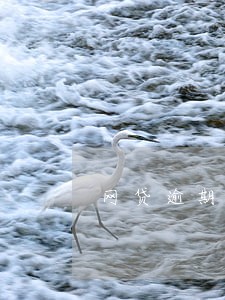 网贷逾期一个多月再还会怎么样 网贷逾期一个多月再还会怎么样