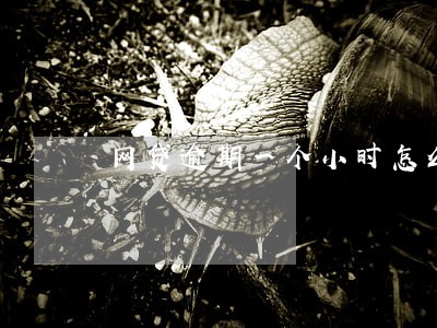 网贷逾期一个小时怎么办 网贷逾期一个小时怎么办