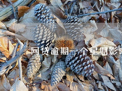 网贷逾期一个星期影响大不大 网贷逾期一个星期影响大不大