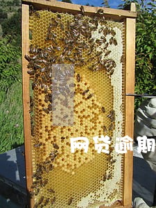 网贷逾期一个星期有影响么 网贷逾期一个星期有影响么