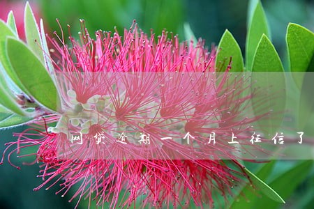 网贷逾期一个月上征信了麻烦嘛 网贷逾期一个月上征信了麻烦嘛