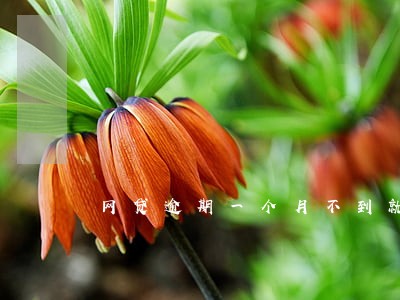 网贷逾期一个月不到就走程序吗 网贷逾期一个月不到就走程序吗