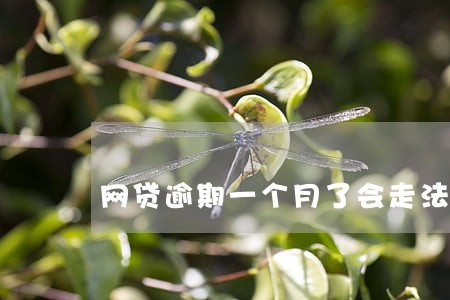 网贷逾期一个月了会走法律程序吗 网贷逾期一个月了会走法律程序吗