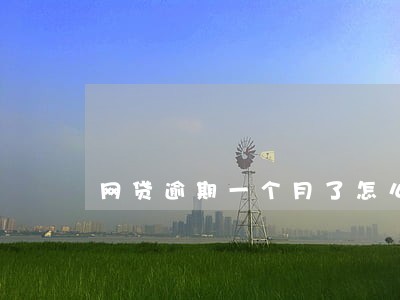 网贷逾期一个月了怎么办 网贷逾期一个月了怎么办