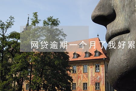 网贷逾期一个月了我好累
