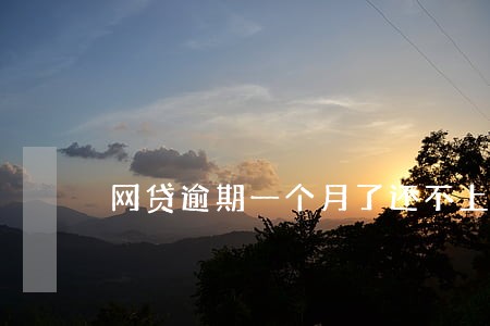 网贷逾期一个月了还不上怎么办 网贷逾期一个月了还不上怎么办
