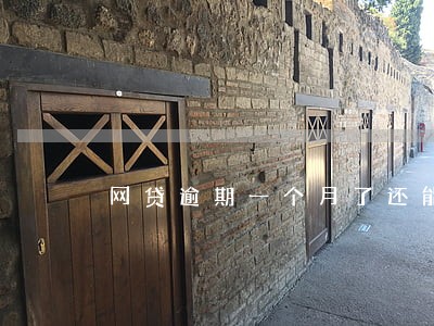 网贷逾期一个月了还能买车吗
