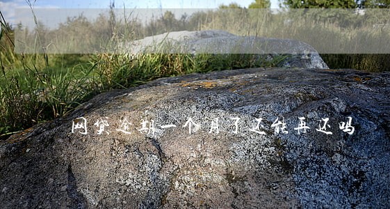 网贷逾期一个月了还能再还吗 网贷逾期一个月了还能再还吗